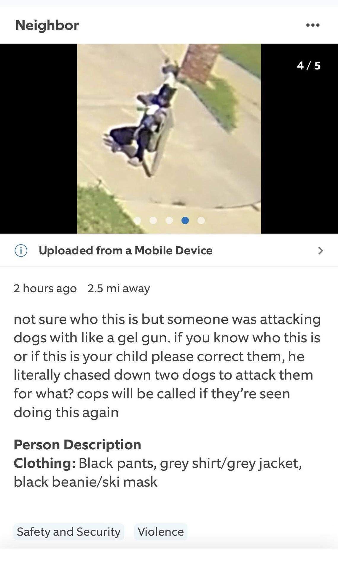 A photo published to Facebook showing the suspected shooter taking aim at one of the dogs while he cowered under a parked vehicle.